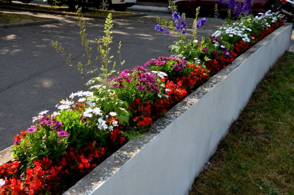 Hardscape Curbing Installation